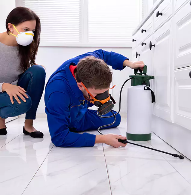Why Choose Wood Termite Treatment by Annandale Pest Control Pro in Annandale, VA?