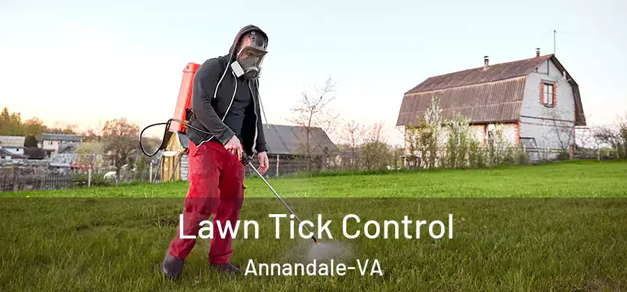 Lawn Tick Control Annandale-VA