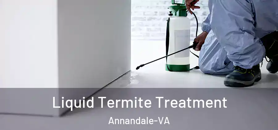 Liquid Termite Treatment Annandale-VA