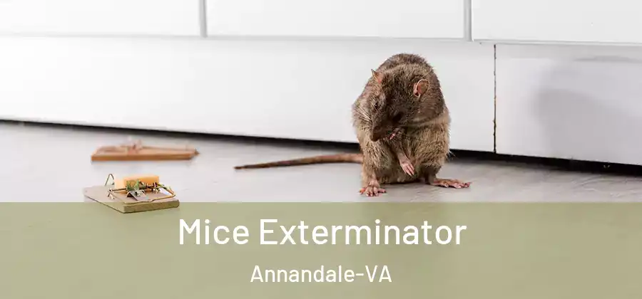  Mice Exterminator Annandale-VA