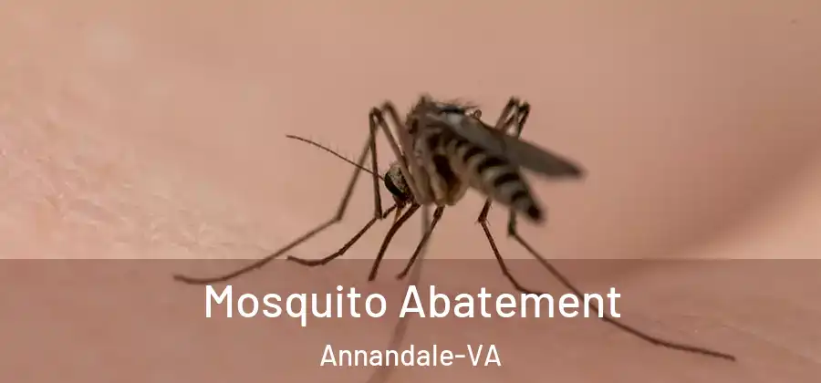 Mosquito Abatement Annandale-VA