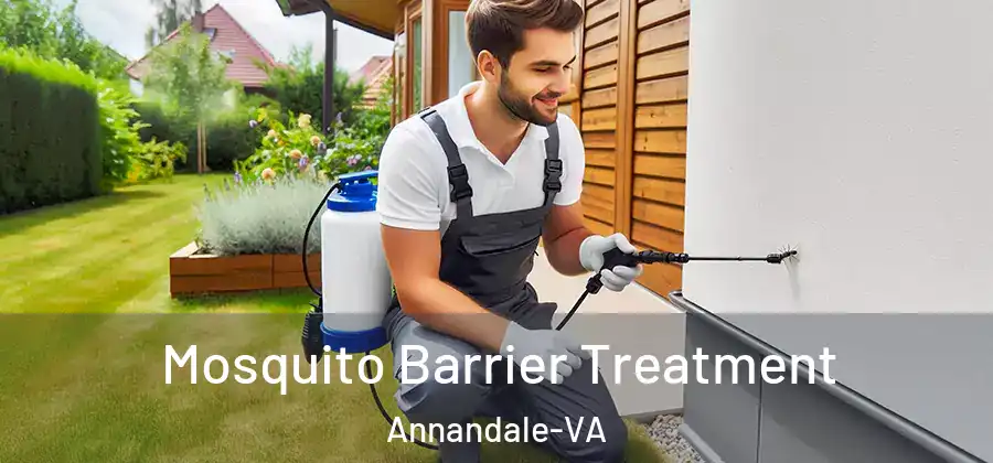  Mosquito Barrier Treatment Annandale-VA