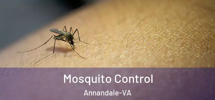  Mosquito Control Annandale-VA