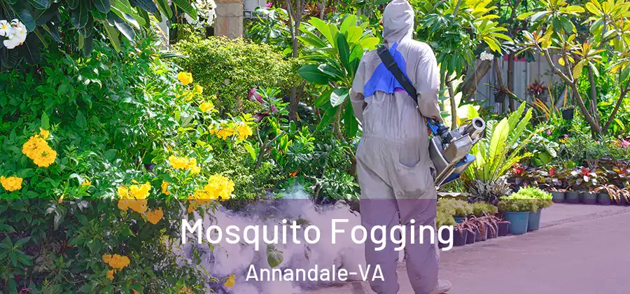  Mosquito Fogging Annandale-VA