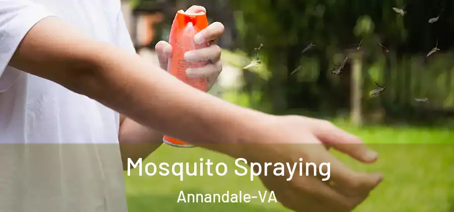 Mosquito Spraying Annandale-VA