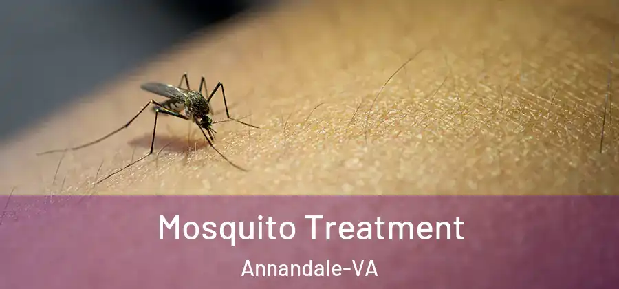  Mosquito Treatment Annandale-VA