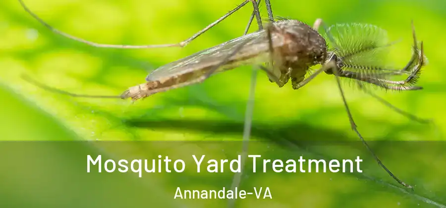 Mosquito Yard Treatment Annandale-VA
