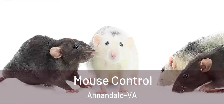  Mouse Control Annandale-VA