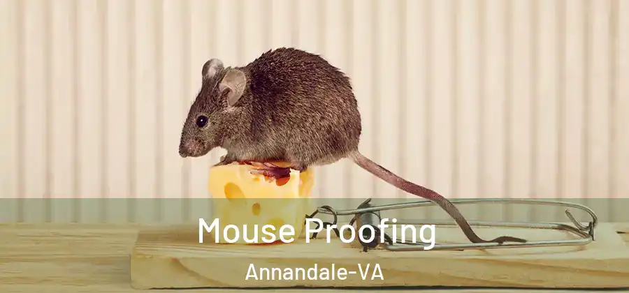  Mouse Proofing Annandale-VA