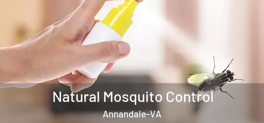  Natural Mosquito Control Annandale-VA