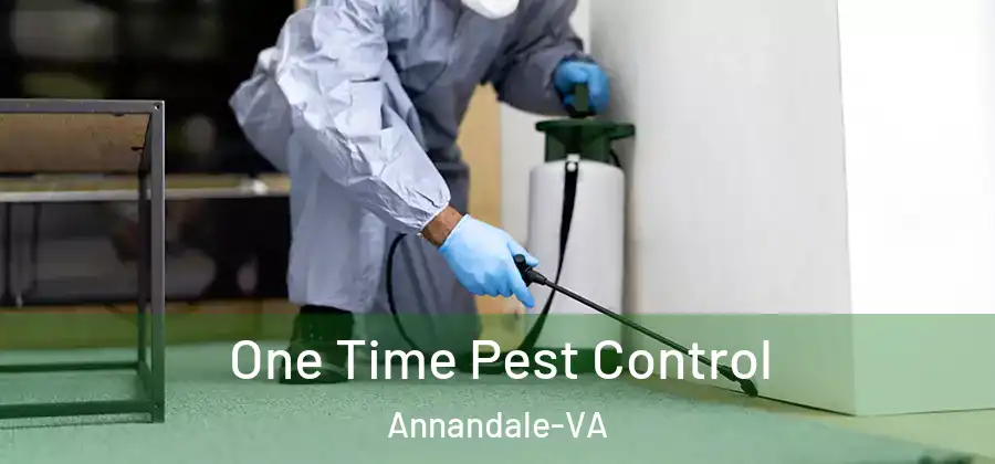  One Time Pest Control Annandale-VA