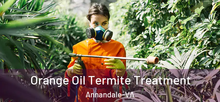  Orange Oil Termite Treatment Annandale-VA