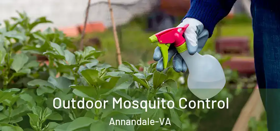 Outdoor Mosquito Control Annandale-VA