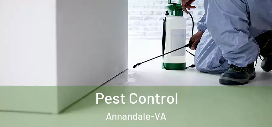  Pest Control Annandale-VA