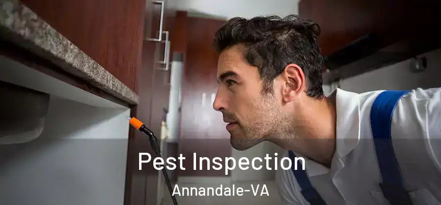  Pest Inspection Annandale-VA