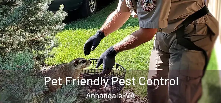 Pet Friendly Pest Control Annandale-VA