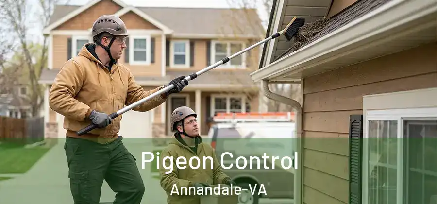  Pigeon Control Annandale-VA
