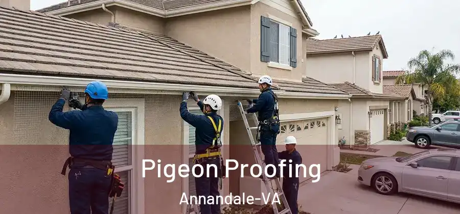  Pigeon Proofing Annandale-VA
