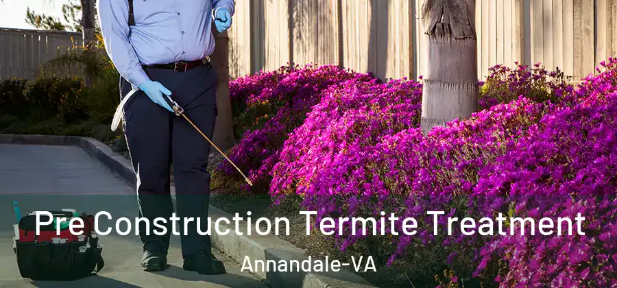  Pre Construction Termite Treatment Annandale-VA