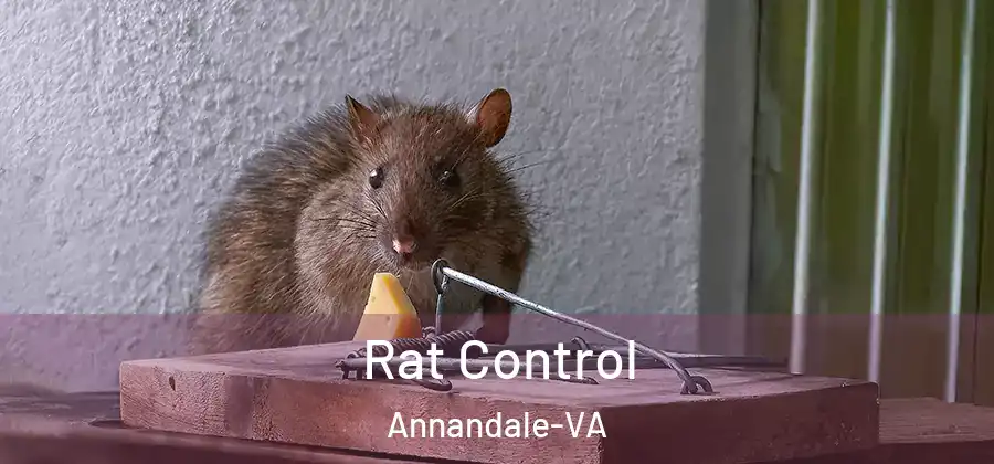  Rat Control Annandale-VA