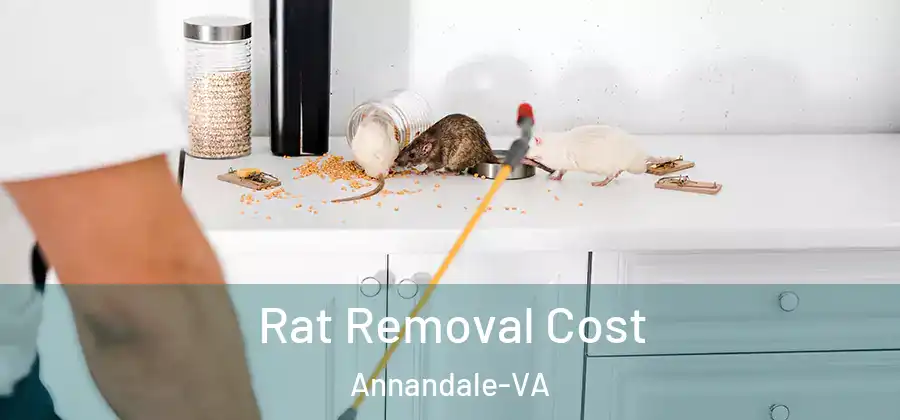  Rat Removal Cost Annandale-VA