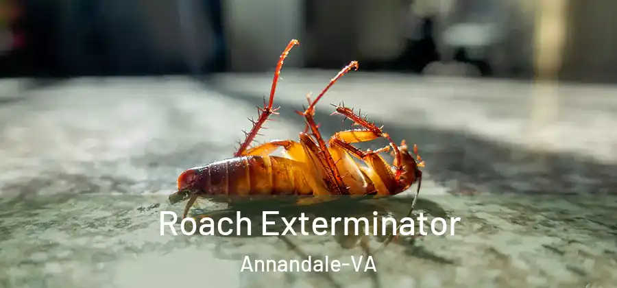  Roach Exterminator Annandale-VA