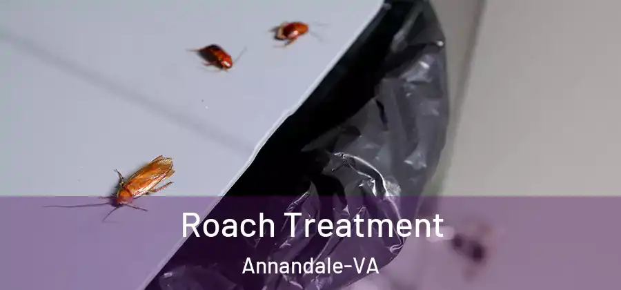  Roach Treatment Annandale-VA