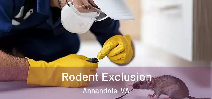  Rodent Exclusion Annandale-VA