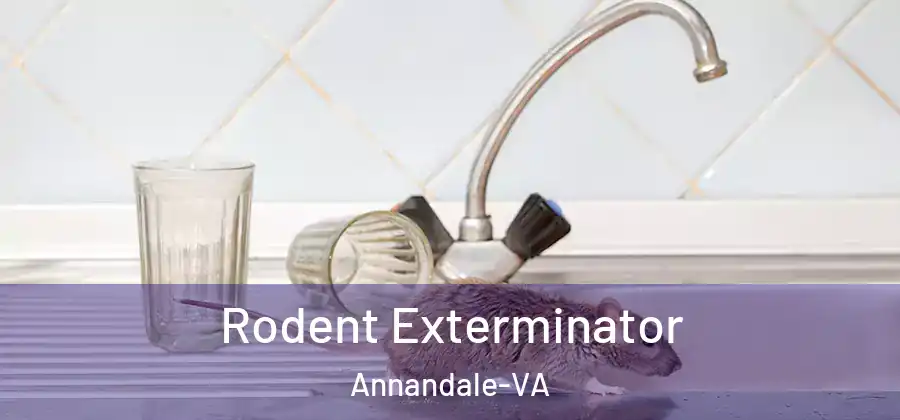  Rodent Exterminator Annandale-VA