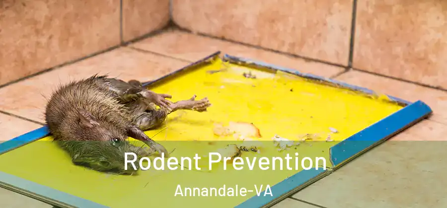Rodent Prevention Annandale-VA
