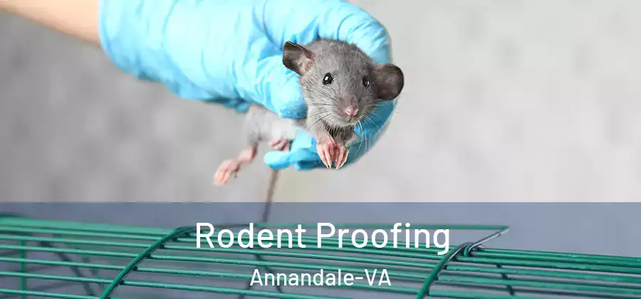 Rodent Proofing Annandale-VA