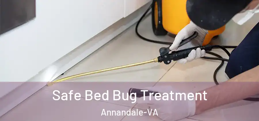  Safe Bed Bug Treatment Annandale-VA