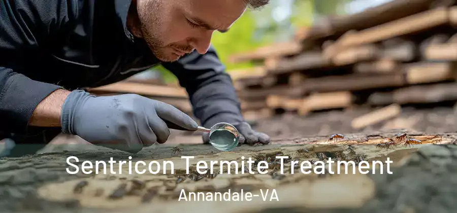  Sentricon Termite Treatment Annandale-VA
