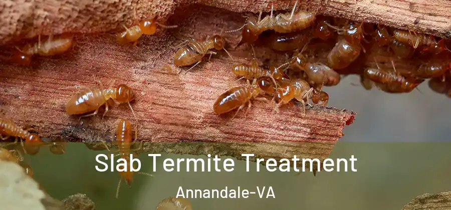 Slab Termite Treatment Annandale-VA