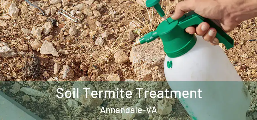 Soil Termite Treatment Annandale-VA