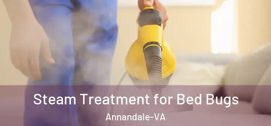  Steam Treatment for Bed Bugs Annandale-VA