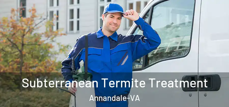 Subterranean Termite Treatment Annandale-VA