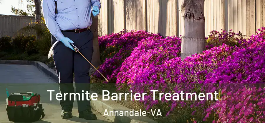  Termite Barrier Treatment Annandale-VA