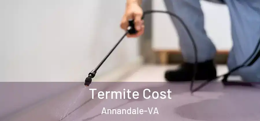  Termite Cost Annandale-VA