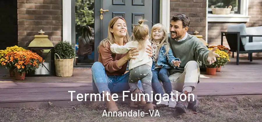  Termite Fumigation Annandale-VA