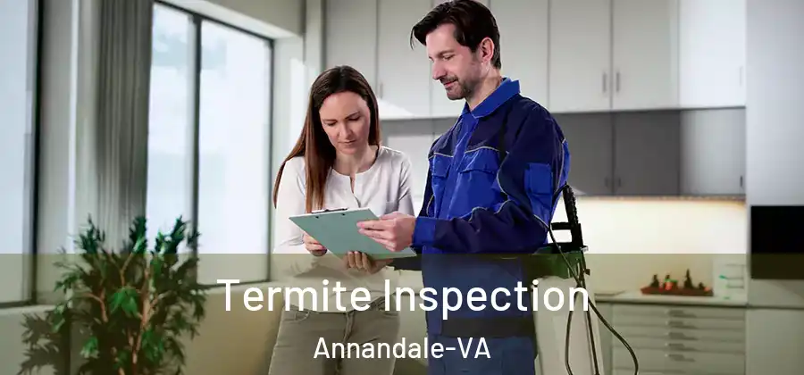  Termite Inspection Annandale-VA