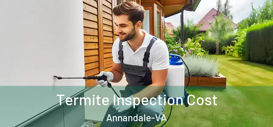  Termite Inspection Cost Annandale-VA