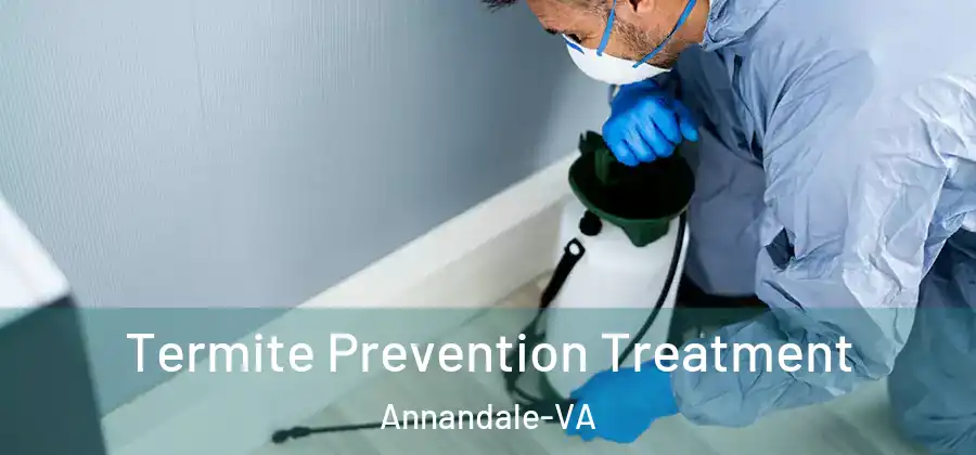  Termite Prevention Treatment Annandale-VA
