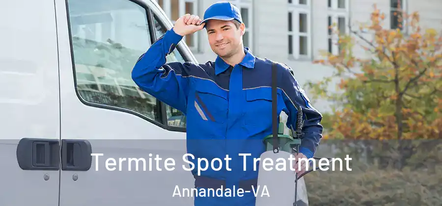 Termite Spot Treatment Annandale-VA