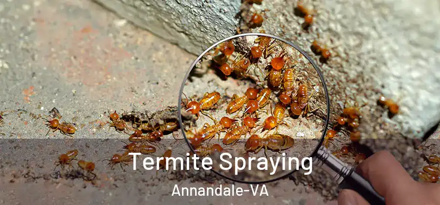 Termite Spraying Annandale-VA