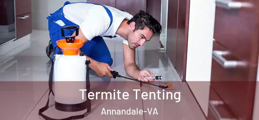  Termite Tenting Annandale-VA