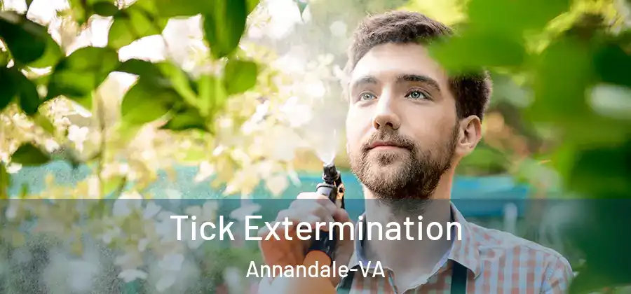 Tick Extermination Annandale-VA