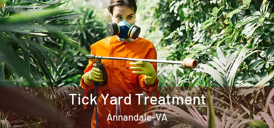 Tick Yard Treatment Annandale-VA
