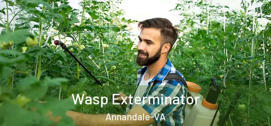  Wasp Exterminator Annandale-VA
