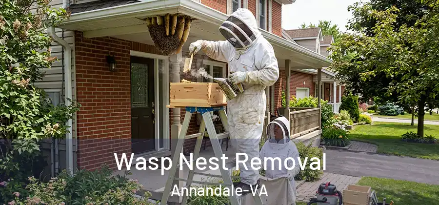 Wasp Nest Removal Annandale-VA
